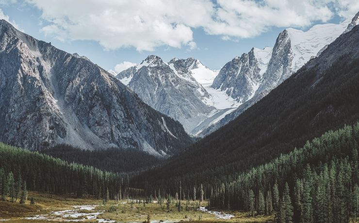 2026世界杯-2026年世界杯：AI裁判与元宇宙观赛的新纪元